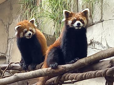 那須どうぶつ王国に投稿された画像（2021/5/28）