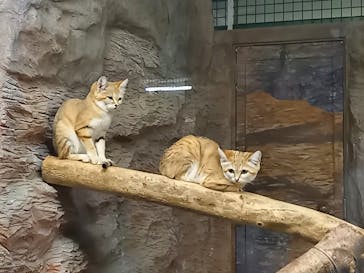 那須どうぶつ王国に投稿された画像（2021/5/28）