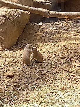 那須どうぶつ王国に投稿された画像（2021/5/28）