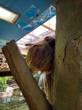 那須どうぶつ王国に投稿された画像（2021/5/28）