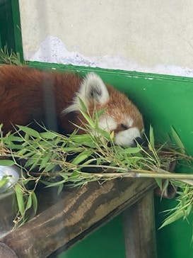 東武動物公園に投稿された画像（2021/5/29）