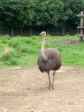 東武動物公園に投稿された画像（2021/5/29）