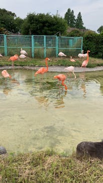 東武動物公園に投稿された画像（2021/5/29）