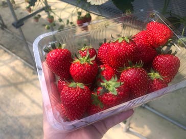 福田フルーツパークに投稿された画像（2021/5/29）