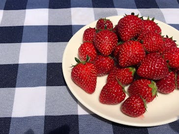 福田フルーツパークに投稿された画像（2021/5/29）