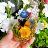 ずこうしつ〜sugamo〜に投稿された画像（2021/5/29）