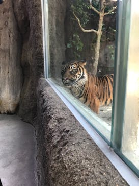 神戸どうぶつ王国に投稿された画像（2021/5/29）