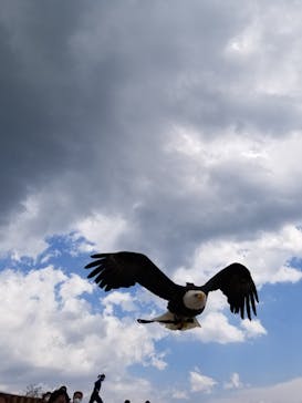 那須どうぶつ王国に投稿された画像（2021/5/29）