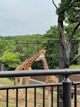 よこはま動物園ズーラシアに投稿された画像（2021/5/29）