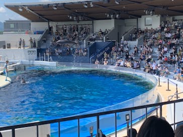 京都水族館に投稿された画像（2021/5/29）