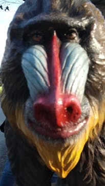 東武動物公園に投稿された画像（2021/5/29）