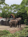 よこはま動物園ズーラシアに投稿された画像（2021/5/30）