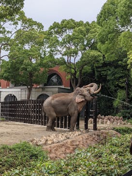 よこはま動物園ズーラシアに投稿された画像（2021/5/29）