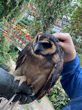 富士花鳥園に投稿された画像（2021/5/29）