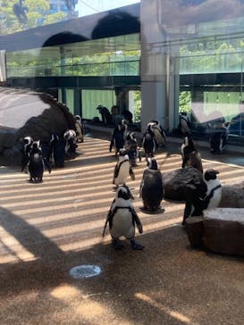 京都水族館に投稿された画像（2021/5/30）