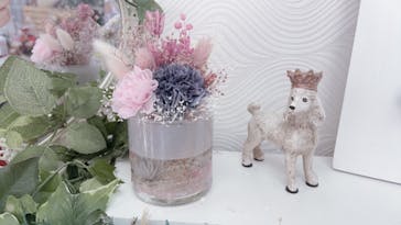 ずこうしつ〜sugamo〜に投稿された画像（2021/5/30）