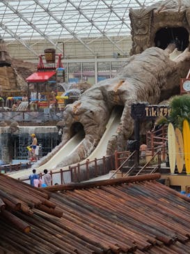 東京サマーランドに投稿された画像（2021/5/30）