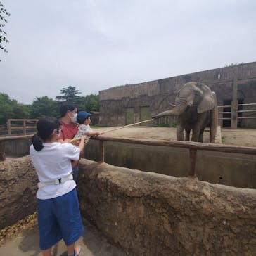東武動物公園に投稿された画像（2021/5/30）