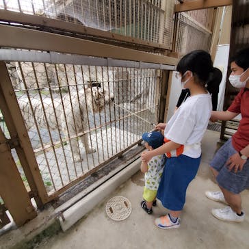 東武動物公園に投稿された画像（2021/5/30）