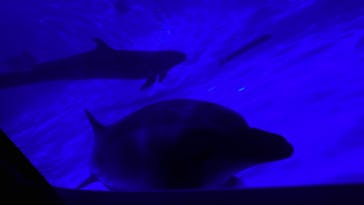 アクアワールド茨城県大洗水族館に投稿された画像（2021/5/30）