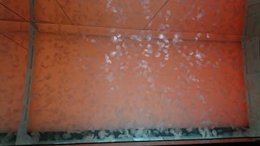 アクアワールド茨城県大洗水族館に投稿された画像（2021/5/30）