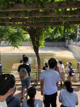 東武動物公園に投稿された画像（2021/5/30）