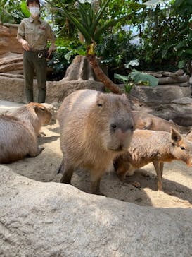 神戸どうぶつ王国に投稿された画像（2021/5/30）