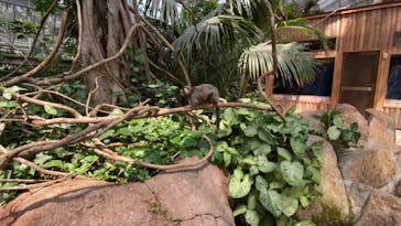 神戸どうぶつ王国に投稿された画像（2021/5/30）