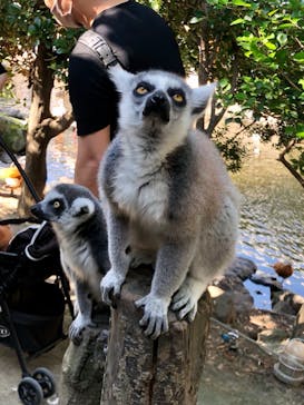 神戸どうぶつ王国に投稿された画像（2021/5/30）
