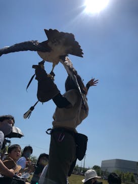 神戸どうぶつ王国に投稿された画像（2021/5/30）