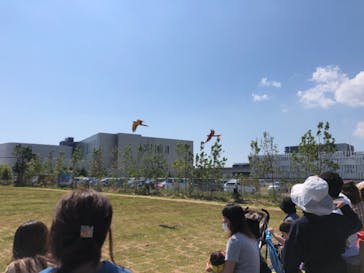 神戸どうぶつ王国に投稿された画像（2021/5/30）