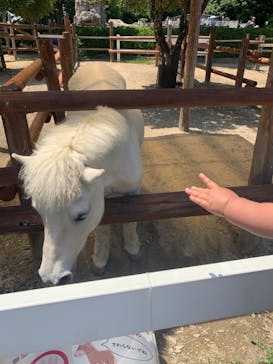 東武動物公園に投稿された画像（2021/5/30）