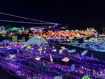 伊豆ぐらんぱる公園に投稿された画像（2021/5/30）