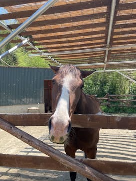 しろとり動物園に投稿された画像（2021/5/30）