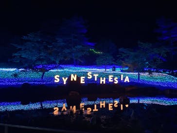 KYOTO ILLUMINATION SYNESTHESIA HILLS るり渓温泉に投稿された画像（2021/5/30）