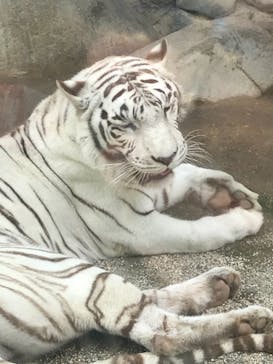 東武動物公園に投稿された画像（2021/5/30）