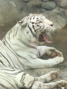 東武動物公園に投稿された画像（2021/5/30）