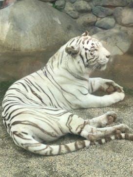 東武動物公園に投稿された画像（2021/5/30）