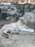 東武動物公園に投稿された画像（2021/5/31）
