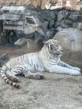 東武動物公園に投稿された画像（2021/5/30）