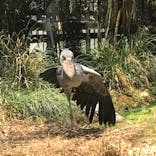 神戸どうぶつ王国に投稿された画像（2021/5/31）