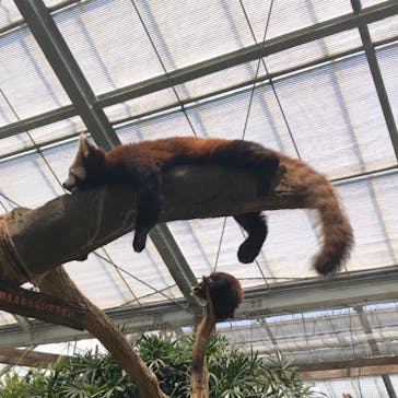 神戸どうぶつ王国に投稿された画像（2021/5/30）