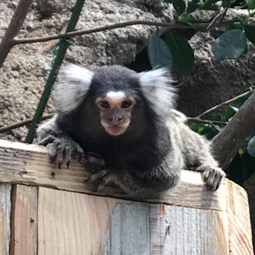 神戸どうぶつ王国に投稿された画像（2021/5/30）