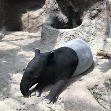 神戸どうぶつ王国に投稿された画像（2021/5/30）