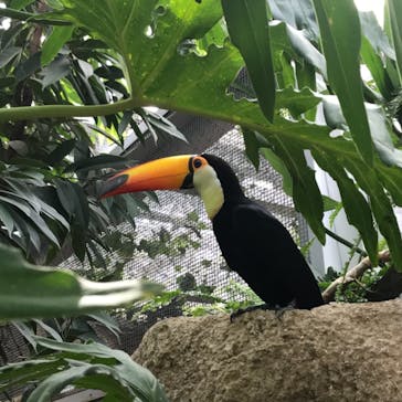 神戸どうぶつ王国に投稿された画像（2021/5/30）