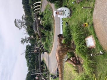 伊豆ぐらんぱる公園に投稿された画像（2021/5/31）