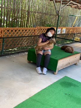 しろとり動物園に投稿された画像（2021/5/31）