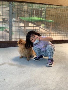 しろとり動物園に投稿された画像（2021/5/31）