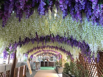 東京サマーランドに投稿された画像（2021/5/31）