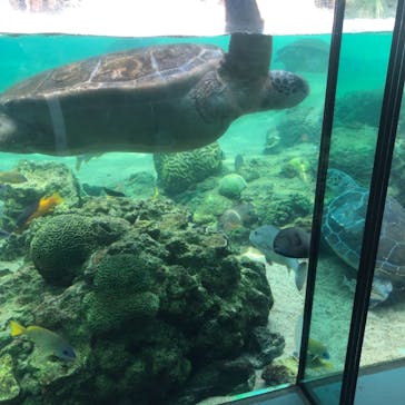 横浜・八景島シーパラダイスに投稿された画像（2021/5/31）